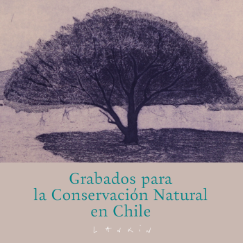 Catalogo Capitulo Hacienda El Durazno1