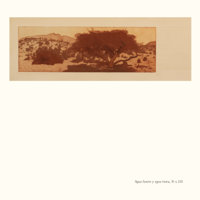 Catalogo Capitulo Hacienda El Durazno11