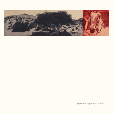 Catalogo Capitulo Hacienda El Durazno14