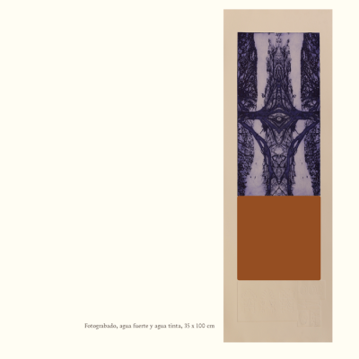 Catalogo Capitulo Hacienda El Durazno15