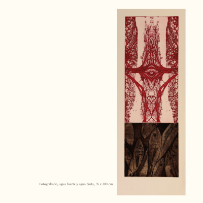 Catalogo Capitulo Hacienda El Durazno16