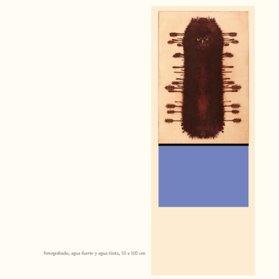 Catalogo Capitulo Hacienda El Durazno17