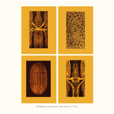 Catalogo Capitulo Hacienda El Durazno18