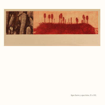 Catalogo Capitulo Hacienda El Durazno19