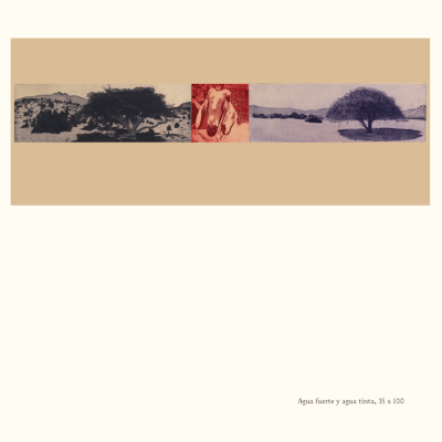 Catalogo Capitulo Hacienda El Durazno20