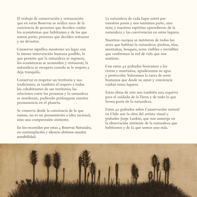 Catalogo Capitulo Hacienda El Durazno3