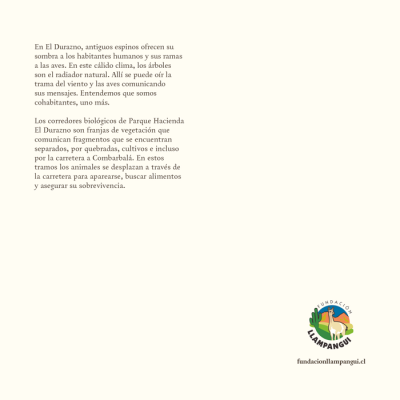 Catalogo Capitulo Hacienda El Durazno6