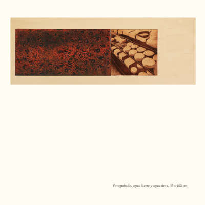 Catalogo Capitulo Hacienda El Durazno7