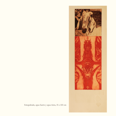 Catalogo Capitulo Hacienda El Durazno8