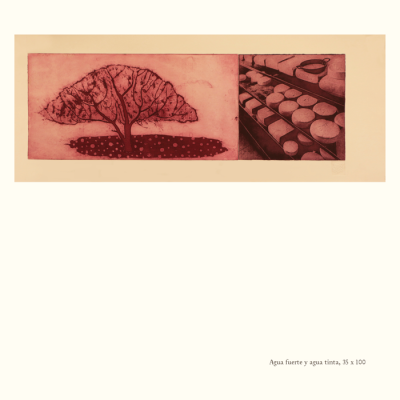 Catalogo Capitulo Hacienda El Durazno9