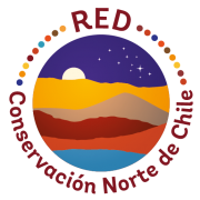 RCN-Logo_Transparente